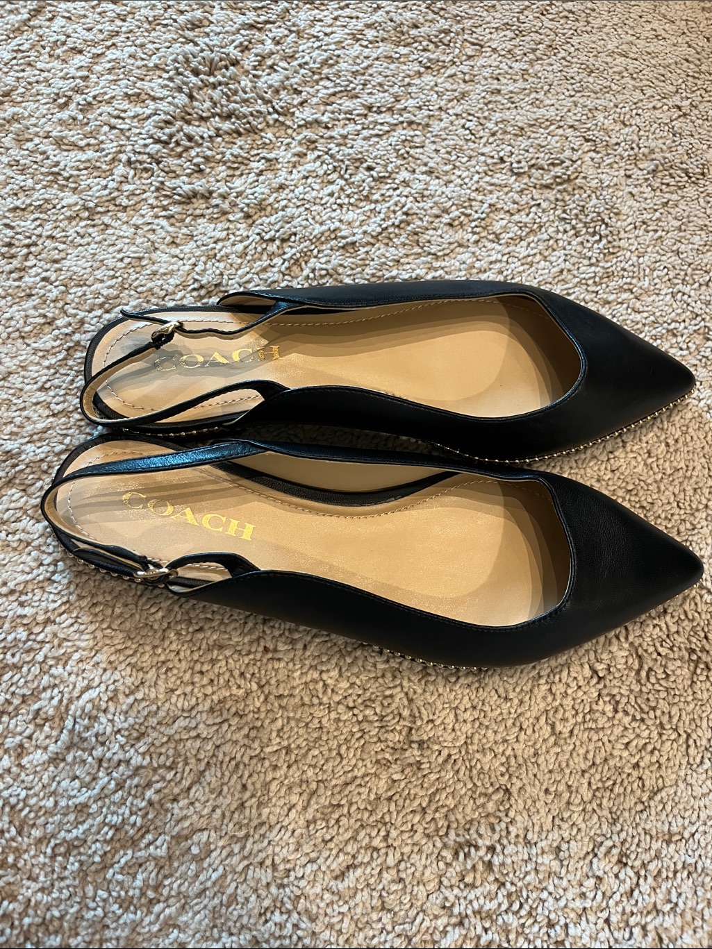 Coach Vae Leather Skimmer Flats